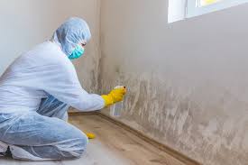 Best Mold Odor Removal Services  in North Massapequa, NY