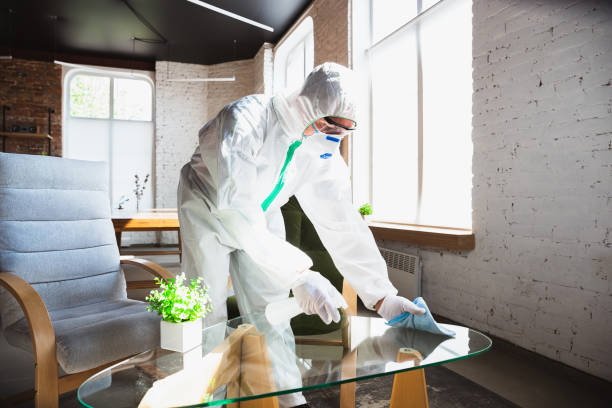 North Massapequa, NY Mold Removal & Remediation Company